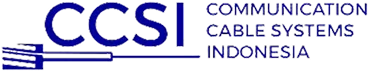 CCSI Logo